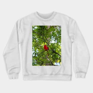 Perched Cardinal Crewneck Sweatshirt